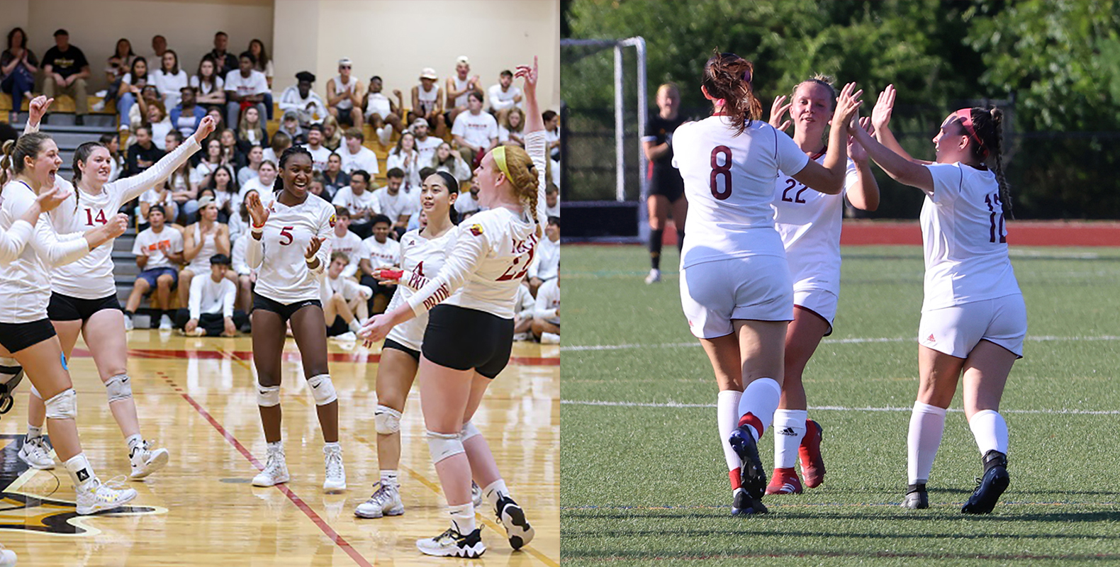 Women’s Volleyball, Women’s Soccer to Host Alumni Events