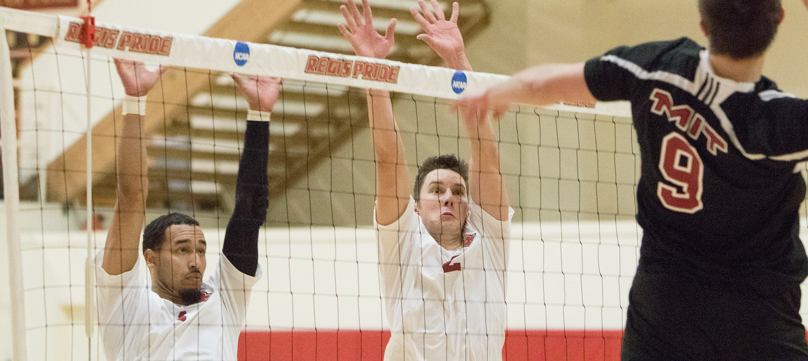 Men's Volleyball Dominant In Sweep of Purchase