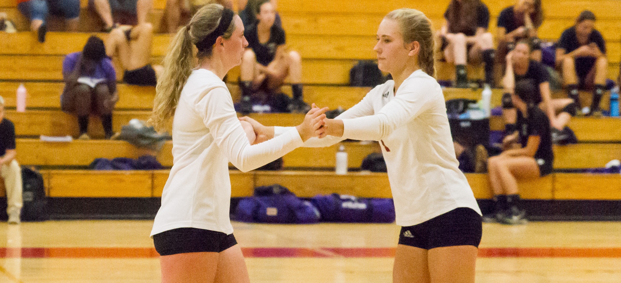 Women's Volleyball Returns to Winning Ways, Tops NEC In Four Sets