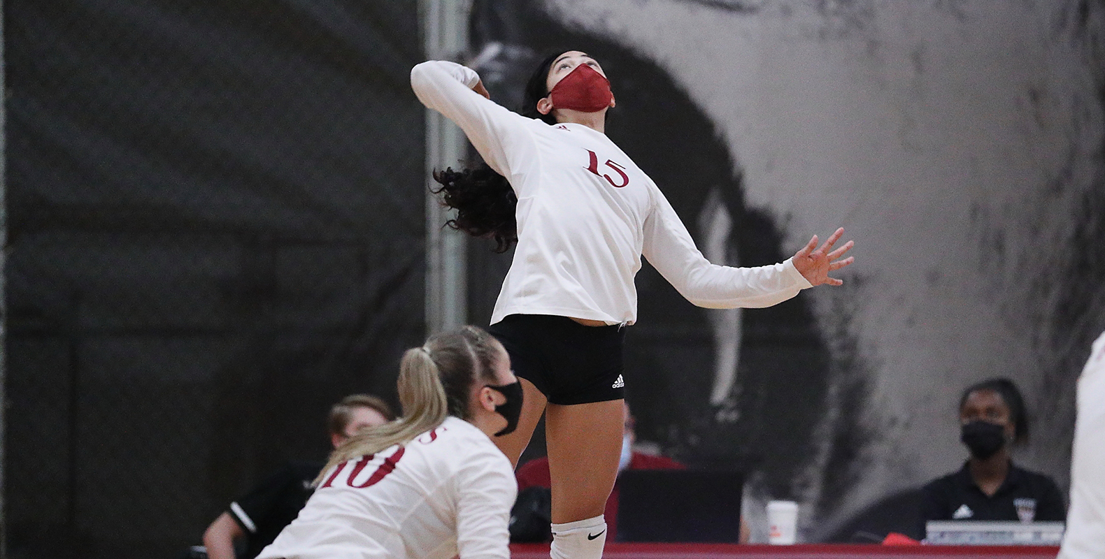 Regis Volleyball Comes Back for Reverse Sweep over Fisher